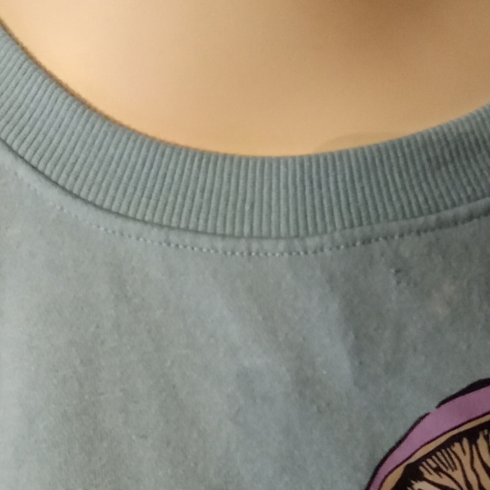Sweatshirt - Picture 5 of 7